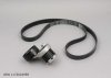 Original  TENDEUR DE COURROIE Renault 1.5DCI 10- COMPLET 6PK1197, 117202495R